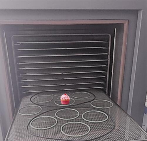 In house degas ovens
